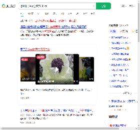 挖44株野生雪莲售卖2000元_360搜索