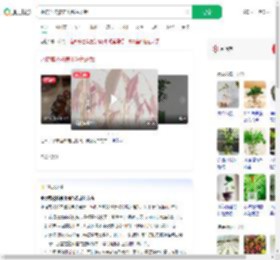 水培荔枝核养出粉色盆栽_360搜索