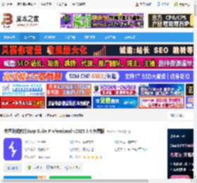 Burp Suite Pro免费下载 渗透测试软件Burp Suite Professional v2025.5.4 免费版 下载-脚本之家