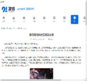 银与绯归乡的艾米怎么样-银与绯归乡的艾米全面介绍 - 91手游网