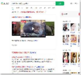 夫妻吃来偷柑橘的竹鼠后肺炎_360搜索