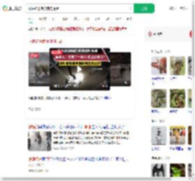 眼镜蛇进院被狗狗提醒_360搜索