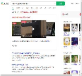 反锁公用门遭撬锁宠物猫被扔_360搜索