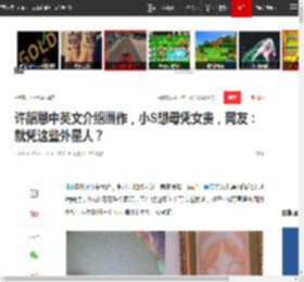 许韶恩中英文介绍画作，小S想母凭女贵，网友：就凭这些外星人？|小s|大s|画展|吴宗宪_网易订阅
