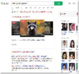 小浣熊出逃50多天后车祸受伤_360搜索