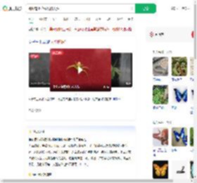 蜘蛛背上花纹酷似人脸_360搜索