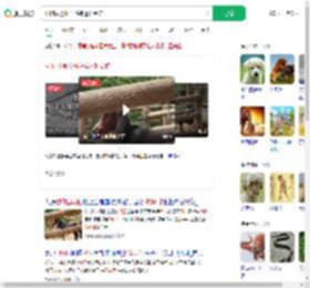 动物园通报马匹转运时受伤_360搜索