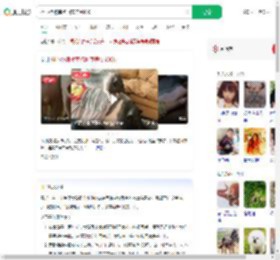 担心猪被宰抱回家养到400斤_360搜索