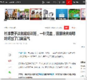 杜淳妻子谈名媛培训班，一针见血，狠狠给黄晓明叶珂出了口窝囊气|王灿_网易订阅