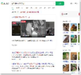 遗弃3狗崽放宠物店门口_360搜索