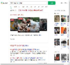 货车坠桥遭村民哄抢冻品_360搜索