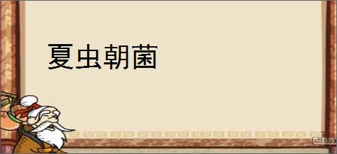 那英和老公逛街，手上戴俩金镯看着也就30多，和孟桐不像是同龄人|甜蜜_网易订阅