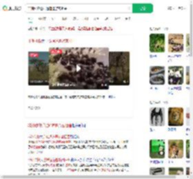 非洲动物迁徙通道遭游客阻塞_360搜索