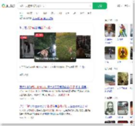 武汉一只狗练出神入化棍法_360搜索