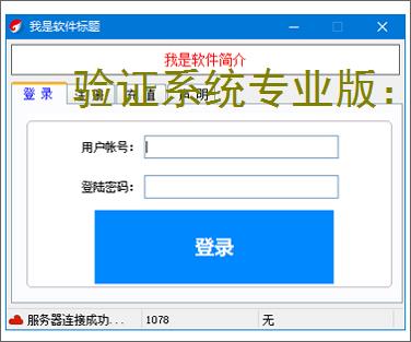 验证系统专业版：多维度软件防护方案解析