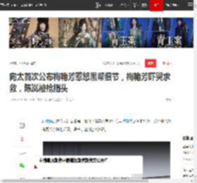 向太首次公布梅艳芳惹怒黑帮细节，梅艳芳吓哭求救，陈岚被枪指头|梅姐|新义安_网易订阅