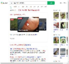 村民干活遭大型猫科动物袭击_360搜索