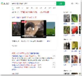 踩到打架的竹叶青和五步蛇_360搜索