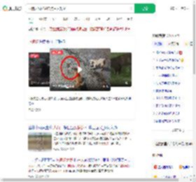 两狗大战眼镜蛇 狗主人观战_360搜索