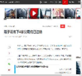 嘎子哥名下4家公司均已注销|山东|演员|谢孟伟|影视文化_网易订阅