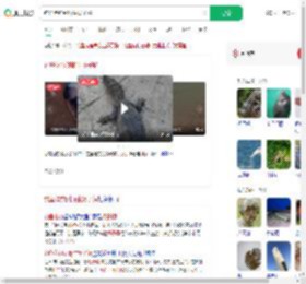 钓鱼佬钓到野生扬子鳄_360搜索