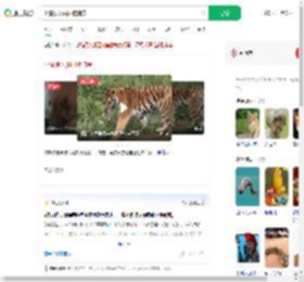 小猫误入虎园被捕食_360搜索