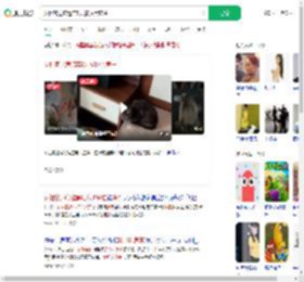 女租客退房遗弃8只猫拉黑房主_360搜索