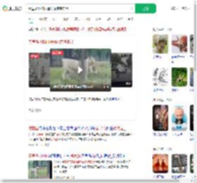 秦皇岛动物园遇猛虎惊魂实录_360搜索