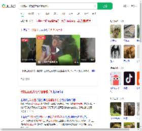 动物园回应游客给猩猩看手机_360搜索