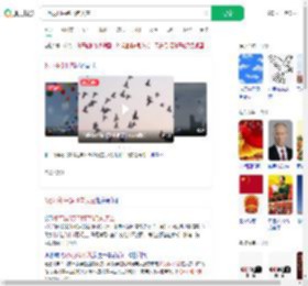 8万羽和平鸽飞向天空_360搜索