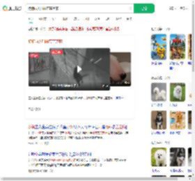 狗狗雨天叼雨布盖芝麻_360搜索