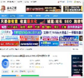 Ungoogled下载 Ungoogled Chromium浏览器 v141.0.7345.0 绿色免费版 64位 下载-脚本之家