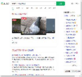 阅兵鸽子不可能飞到贵州_360搜索