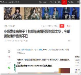 小娇妻变病秧子?和郑佳离婚另娶的耿文华,今却满脸憔悴懊悔不已|耿为华|罗家英_网易订阅