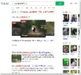 男子采蘑菇遇黑熊车前狂奔_360搜索