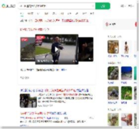 扬子鳄追击黑鱼被意外钓起_360搜索