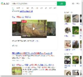 动物园工作人员被狮群咬死_360搜索