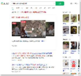 投喂时戏耍野猴额头被抓破_360搜索