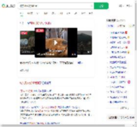 被东风5C烧饼馋到了_360搜索