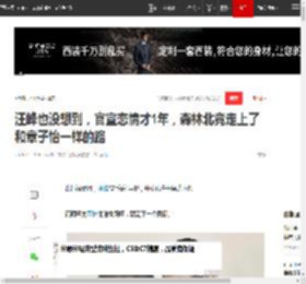 汪峰也没想到,官宣恋情才1年,森林北竟走上了和章子怡一样的路_网易订阅