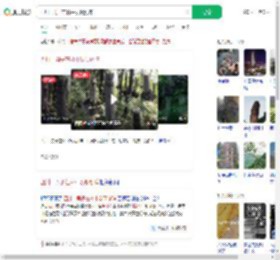 四川一男子在林中发现剑阵_360搜索