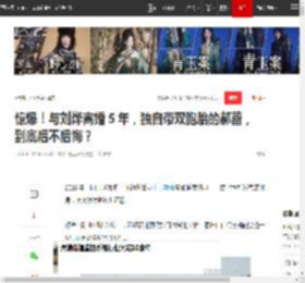 惊爆！与刘烨离婚 5 年，独自带双胞胎的郝蕾，到底后不后悔？|邓超|李光洁|娱乐圈|新恋情|刘烨(演员)_网易订阅