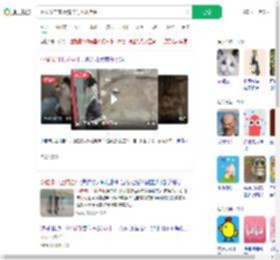 网友发自家小猫卡门上成挂件_360搜索