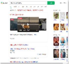柯基误上高架桥交警护送_360搜索