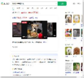 宠物狗坐宝宝椅吃饭_360搜索