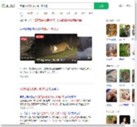 夜遇野生东北虎大喊:本地的_360搜索