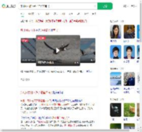 东北网友拍下燕子滞留未南飞_360搜索