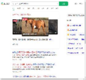 男子买马一觉醒来1匹变2匹_360搜索