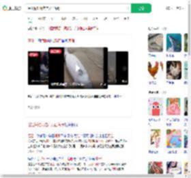 湛江海滩现难产死亡海豚_360搜索