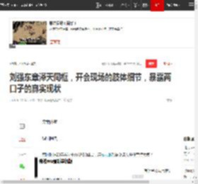 刘强东章泽天同框，开会现场的肢体细节，暴露两口子的真实现状|离婚|王思聪|权志龙_网易订阅